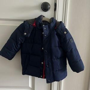 Gap Navy Blue Toddler Jacket